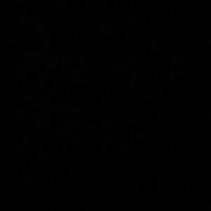 Meet your Posher, Janai